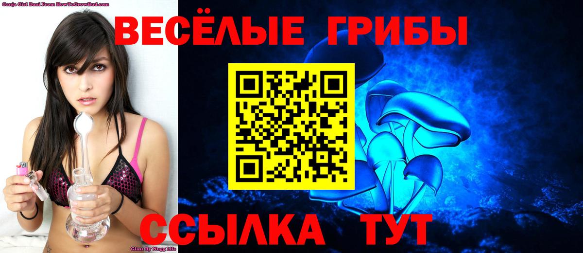 Камень-на-Оби  Галлюциногенные грибы Magic Shrooms  Галлюциногенные грибы Cubensis  Вход с VPN 